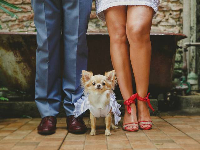 Casamento de Fotografia de Casamento Rio de Janeiro - RJ à luz do dia Rústico e Romântico • Casa Rio Carioca • Estrella e Gabriel