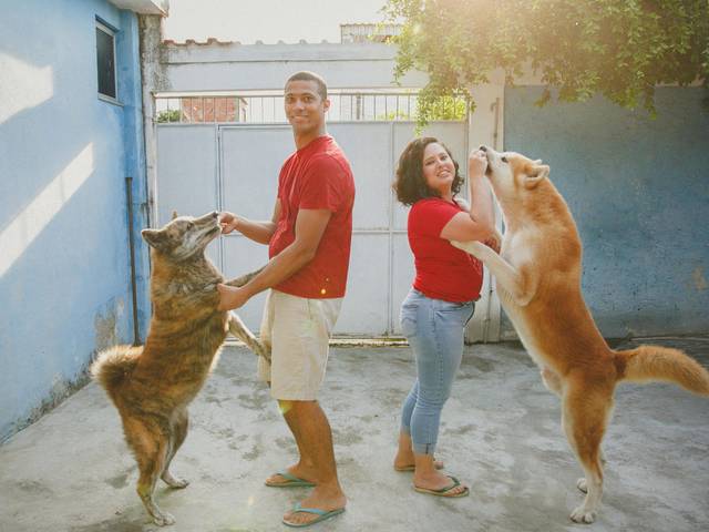 Famílias, Bebês e Crianças de Ensaio Fotográfico Pet | Ensaio Fotográfico no RJ Cotidiano-Poesia | Melba, João, Rony e Hermione