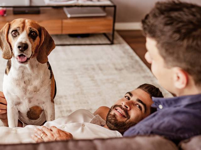 Pets de Vinícius, Diego e Valentim