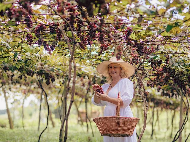 Ensaio Individual de Celia Fary