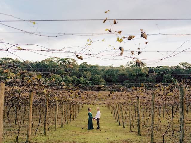 Casamento de Bodas - Marlene & Tomaz