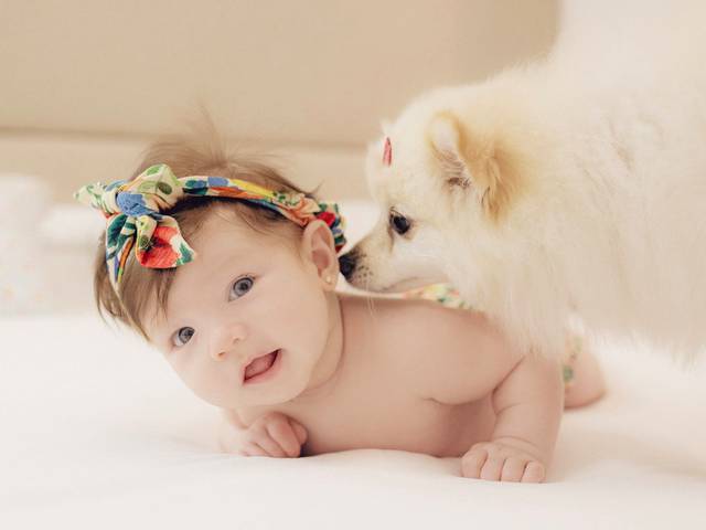 Acompanhamento Infantil de Luísa