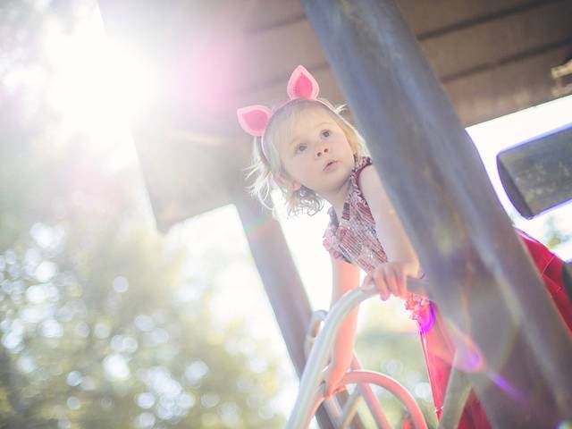 Aniversários Infantis de Alice - 2 Anos