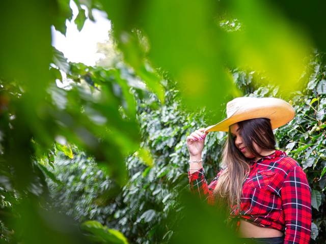 15 anos de Ana Beatriz