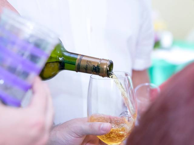 Festa Aniversário Adulto de Aniversário Izabel - 60 anos