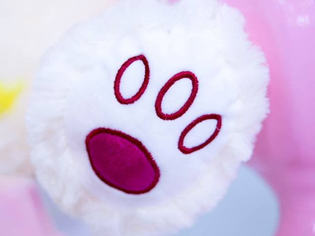 Chá de Bebê e Revelaçao de Cobertura Fotográfica Chá de Bebê Amanda