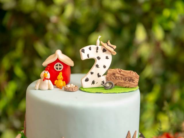 Fotografia Festa Infantil de FOTOGRAFIA FESTA INFANTIL - ANIVERSÁRIO GUILHERME - 2 ANOS