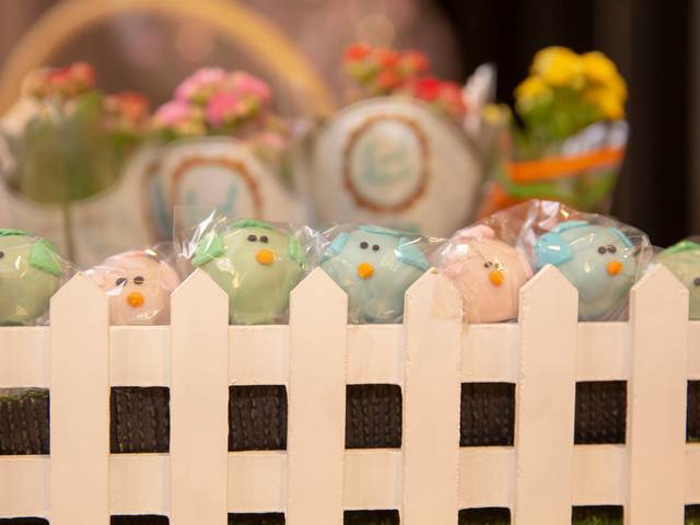 Fotografia Festa Infantil de FOTOGRAFIA FESTA INFANTIL - ANIVERSÁRIO AMÉLIE E ANNELIESE - 2 E 4 ANOS