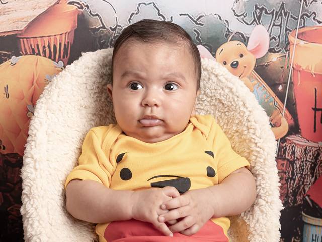Infantil Temático de ♡ Bernard - 3 meses ♡ {Acompanhamento mensal}