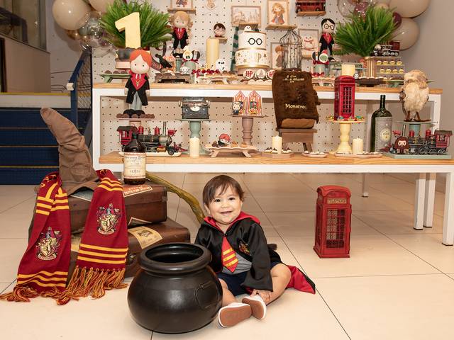 Festa Infantil de ♡ Aniversário de 1 ano - Guido ♡