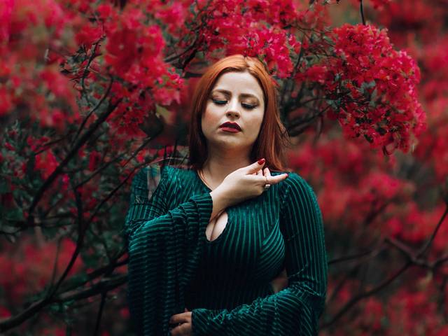 Ensaio Avalon de Ensaio Avalon