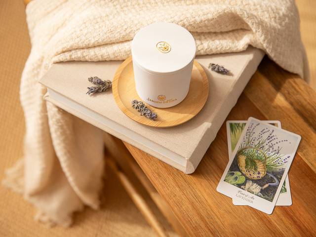 Empresas de Jardim de Tina - Fotos dos produtos no Estúdio Milca