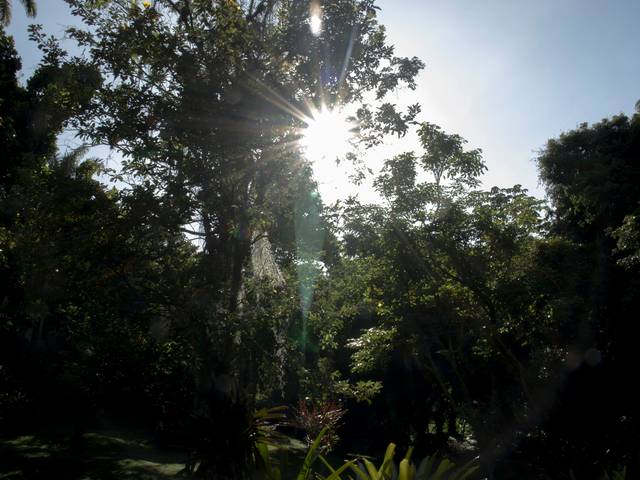 Parque Eduardo Guinle 15/02/2023 de Parque Eduardo Guinle 15/02/2023