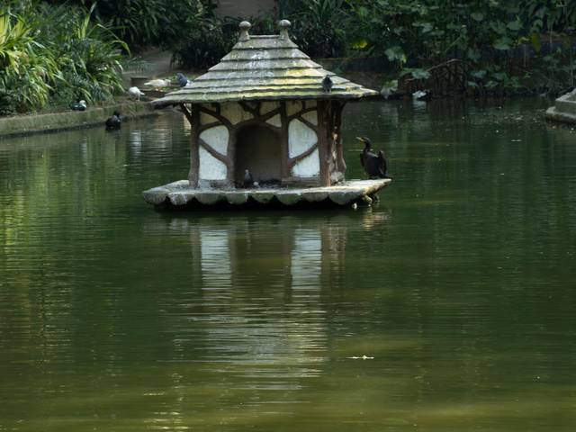 Parque Eduardo Guinle 18/07/2023 de Parque Eduardo Guinle 18/07/2023