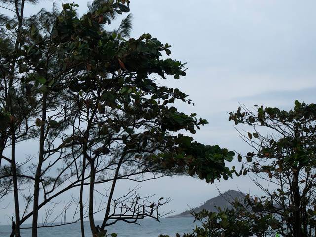 Paisagem de Paisagem