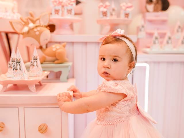 Festa Infantil de 1 ano Luísa