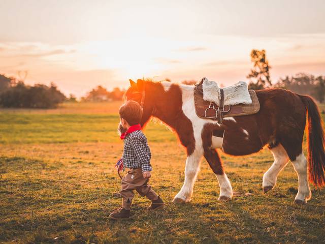 Ensaio Infantil de Bento