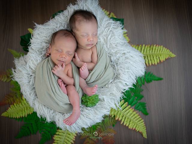 NEWBORN de DAVI E MIGUEL