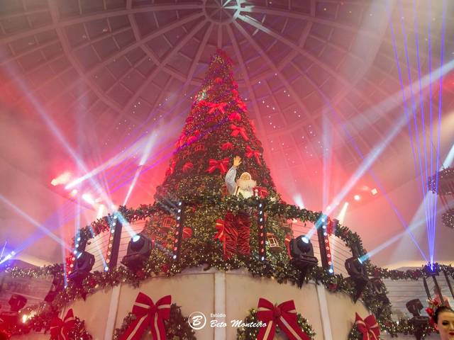 Empresas  de Chegada do Papai Noel no Park Shopping Barigui