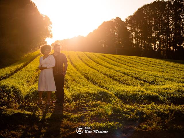 Casamentos de Andressa e Vicente - Pré Wedding