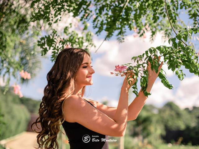 15 anos de Ellen | Book dos 15