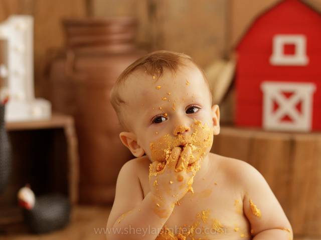 Smash The Cake de Smash the Cake Fazendinha do Dudu