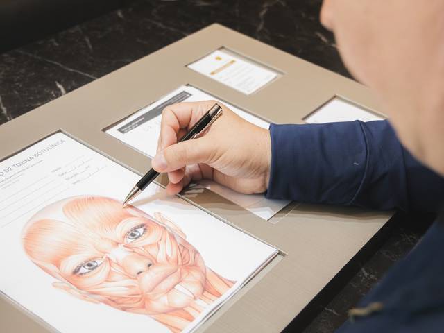 Ensaio Carreira de Bruno Senna