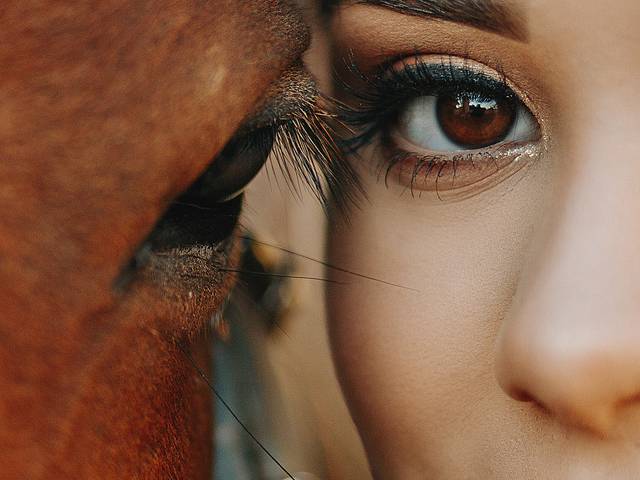 15 Anos de Book 15 Anos | Ana Júlia