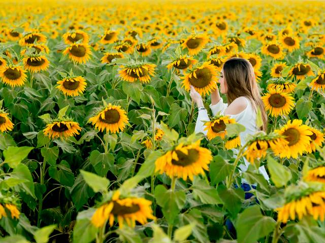 15 Anos de Lorena 16 Anos