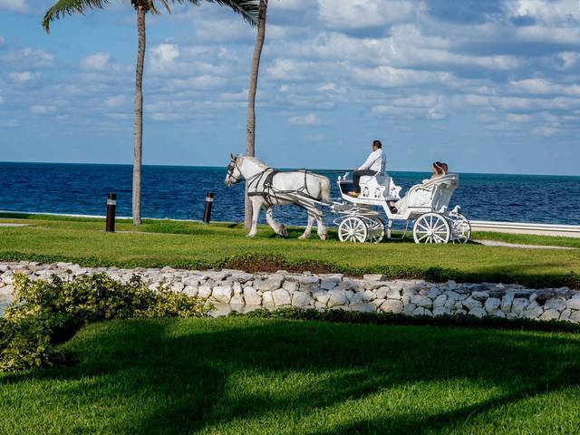 Casamento de Casamento Renata & Henrique