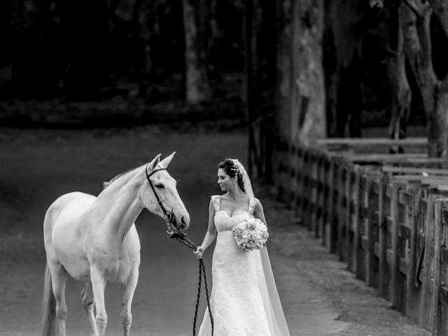 Casamento de Adriana & Marcus