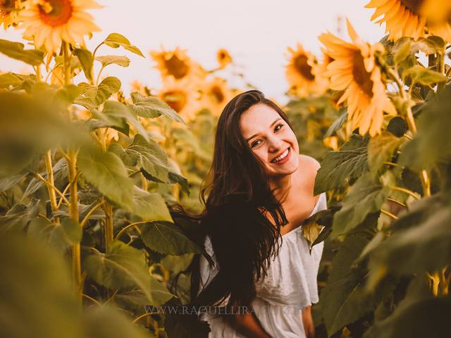 Família de Campo de Girassóis - Paty 