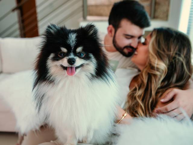 Pré Casamentos de Pre Wedding Nathalia e Luiz 