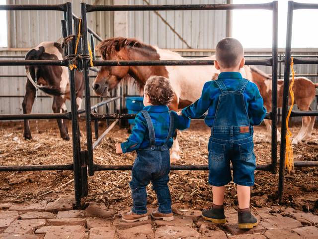 Infantil de Ensaio Aniversário 1 ano