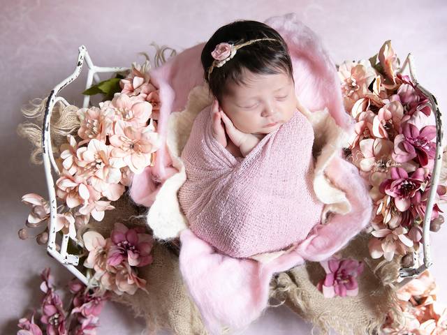 Newborns de Ensaio Newborn/ Lorena