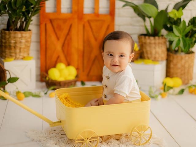 Acompanhamentos de Ensaio Limãozinho