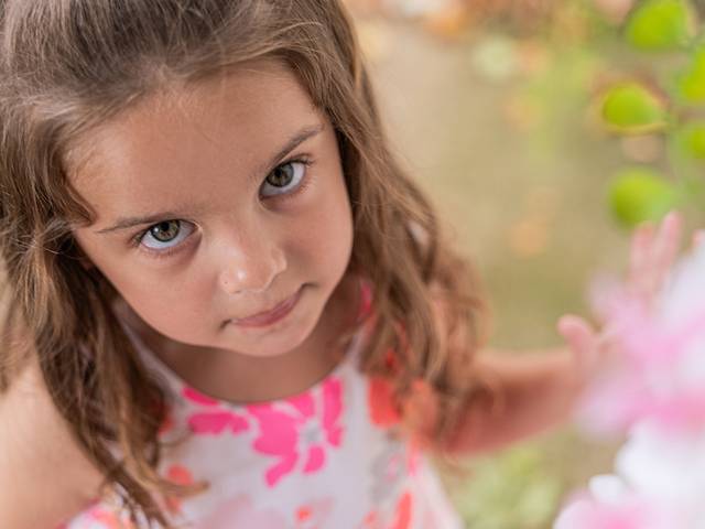 Ensaios de Esperando o João (Família)