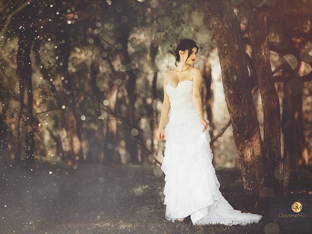 Ensaios de Alice Rocha 