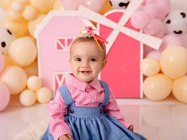 Smash The Cake de Smash The Cake Elisa Fazendinha