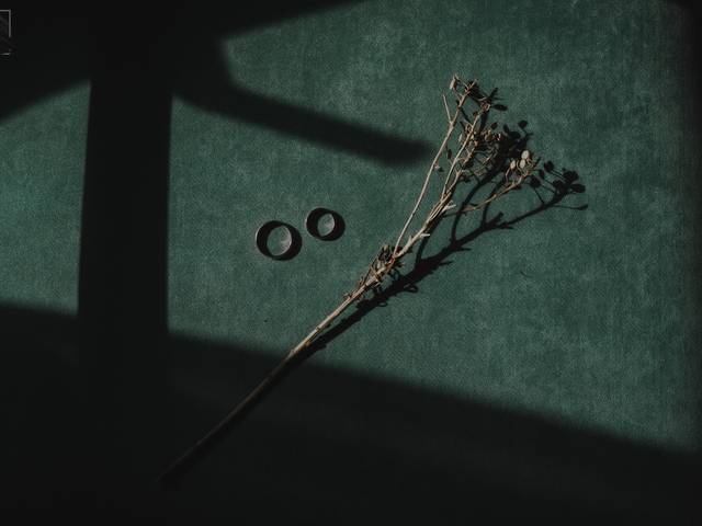 Bodas de Boda Cristian & Vanina