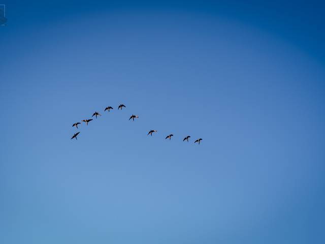 Bodas de Nico & Mariel