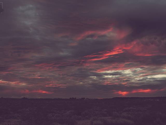 Sesiones de Sesión Aire Libre para Laila