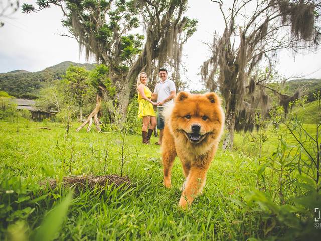 Ensaio Fotografia Pré-casamento de Gyselly e Adriano - São Bonifácio - SC