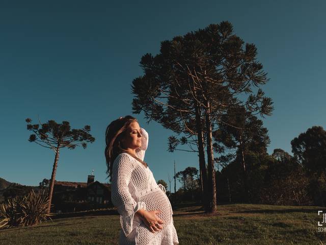 Gestante de Cristiani