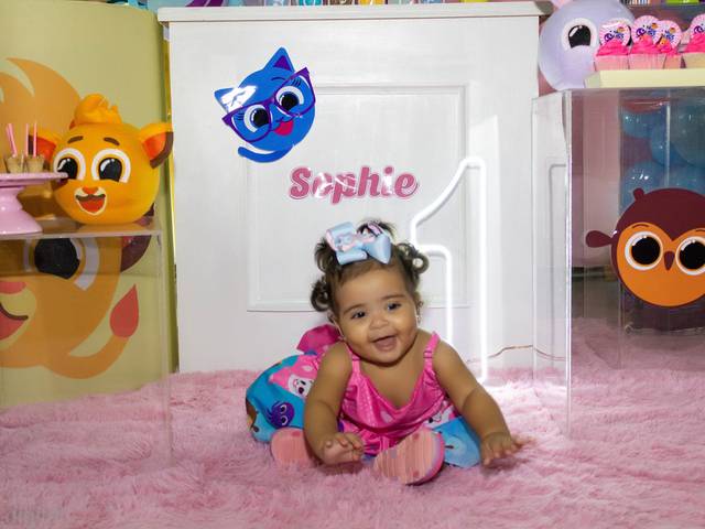 Aniversário Infantil de Sophie - 1 ano