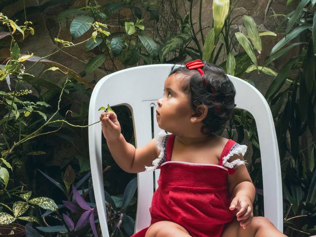 Ensaio Externo de Sophie
