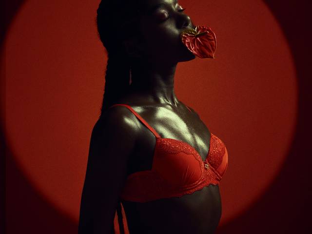 Underwear de Magda moda íntima