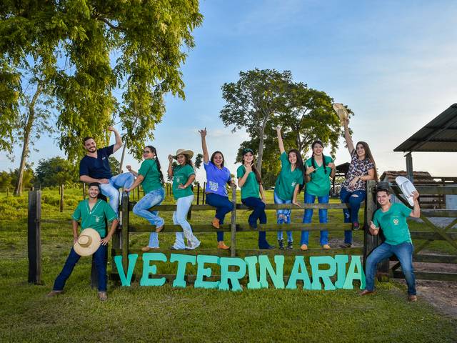 Ensaio Externo de Medicina Veterinária