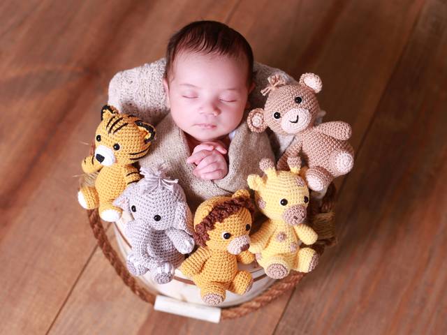 Newborn de Book de Newborn do recém-nascido, Levi Gabriel.