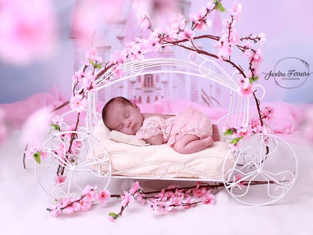 Newborn de Ensaio de newborn, orçamento a partir de R$ 600,00 em São Paulo, SP. Estúdio fotográfico para recém-nascido em S.P São Paulo.